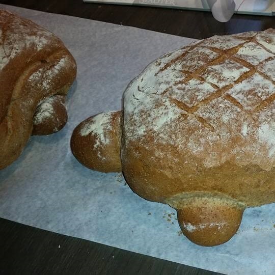 Café de cingel - Vosselaar - verrassingsbrood